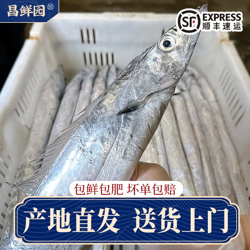 【顺丰】H东海新鲜船冻整条小眼睛油带带鱼3-5两/条 肉质鲜嫩