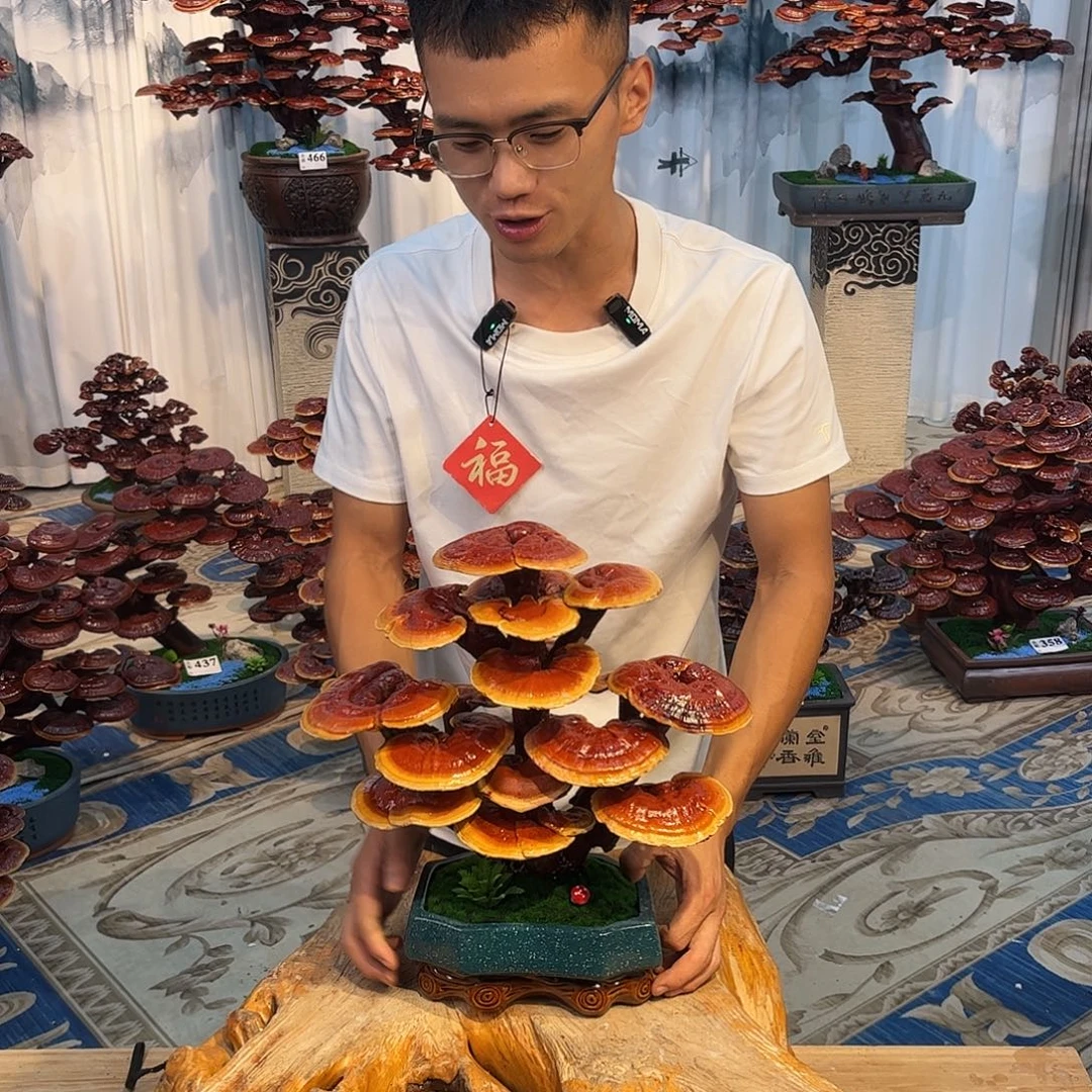 无花朵08888888888889