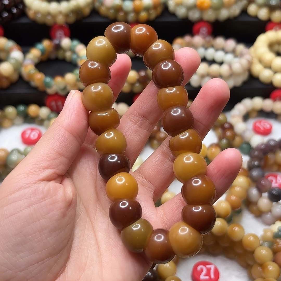 菩提根/象牙果手串大肠