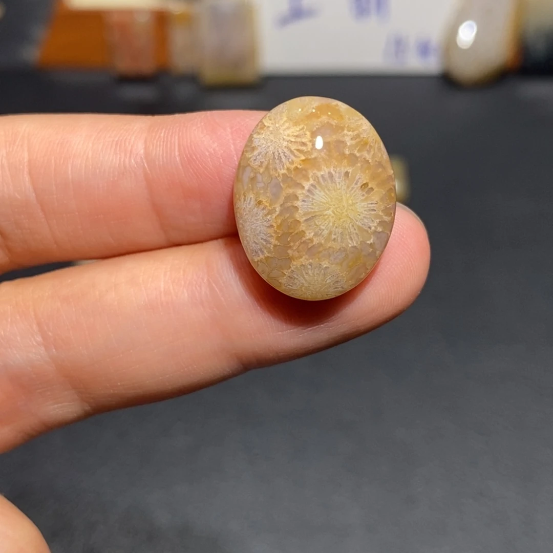 【闪购商品】未镶嵌珊瑚玉硅化玉