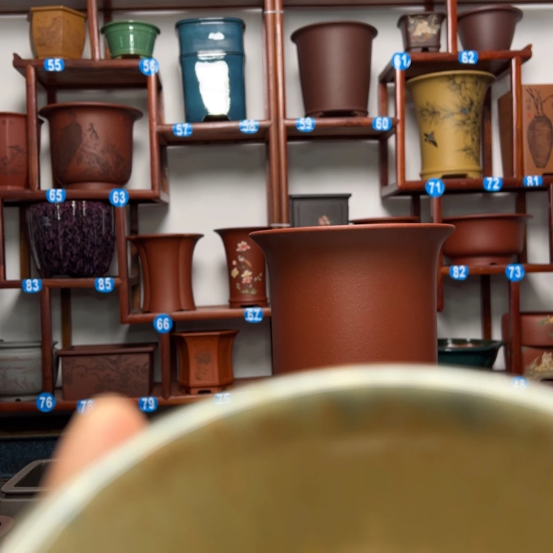 紫砂花盆水*水金钟花盆