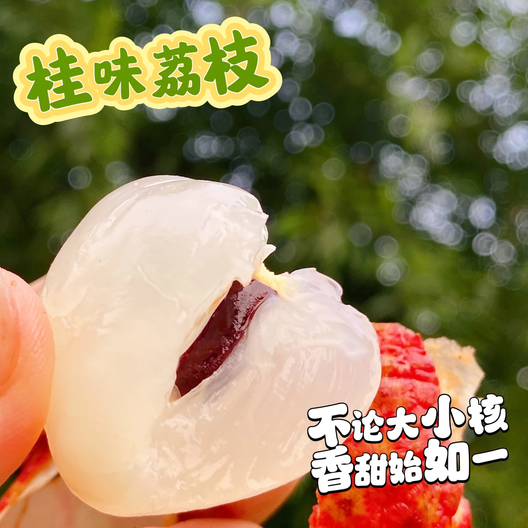 【超级招牌】老树桂味荔枝 清甜可口 清新果香 3斤起 顺丰空运