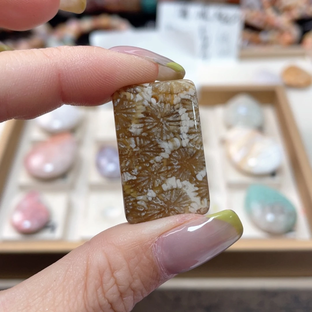 硅化珊瑚（珊瑚玉）手链未镶嵌八*盒227