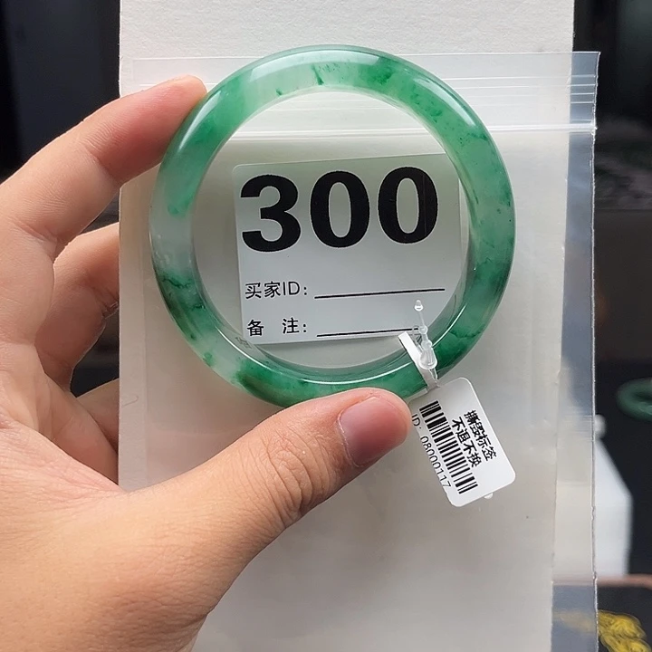 石英质玉（非洲翠）手镯未镶嵌300圈口5960