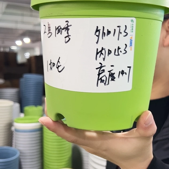 特价2号四季口17.3高14.7果绿带托10只