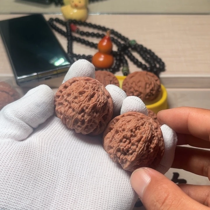 垃***贝白狮子白狮子白狮子