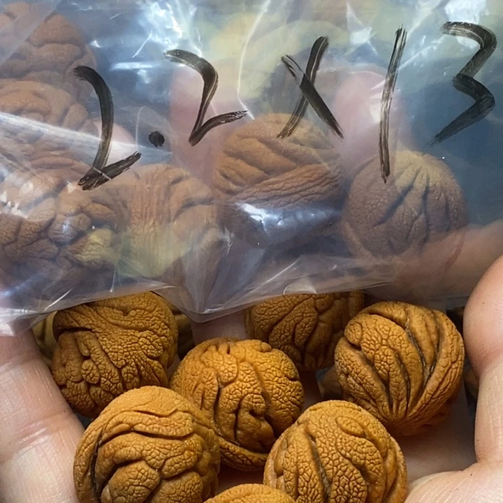 木质类秦岭山野生桃核