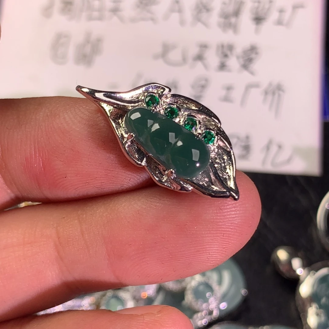 翡翠未镶嵌颈饰福豆