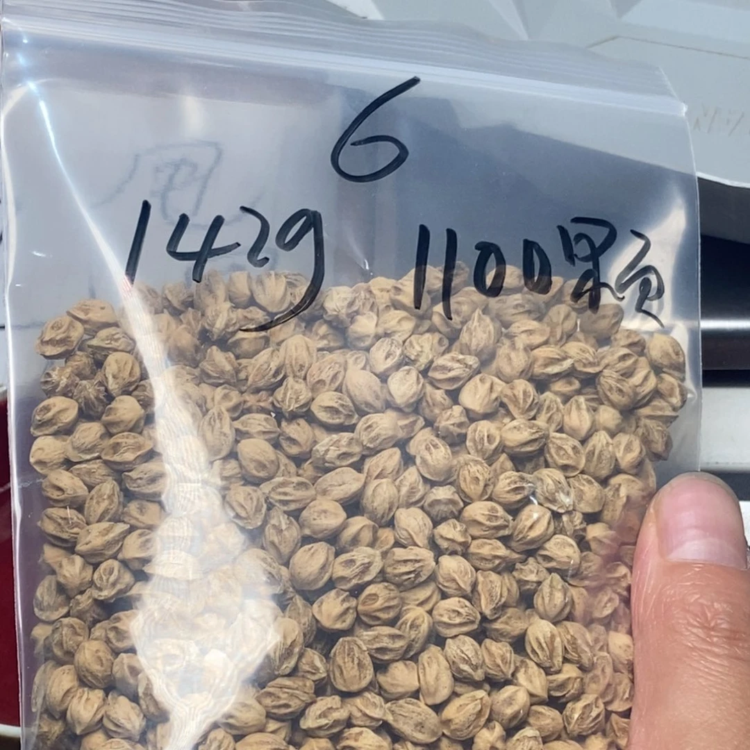 柏香籽/百香籽吊坠