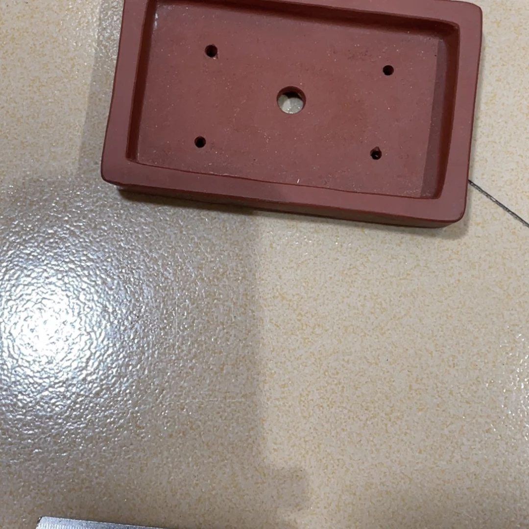 紫砂花盆我的小伙伴