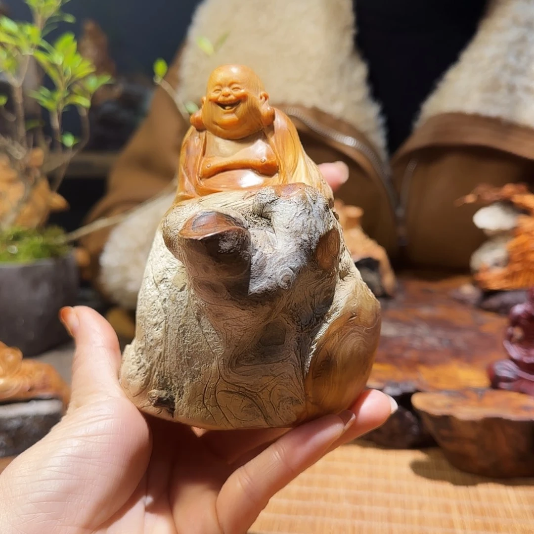 柏木（崖柏）太行集团