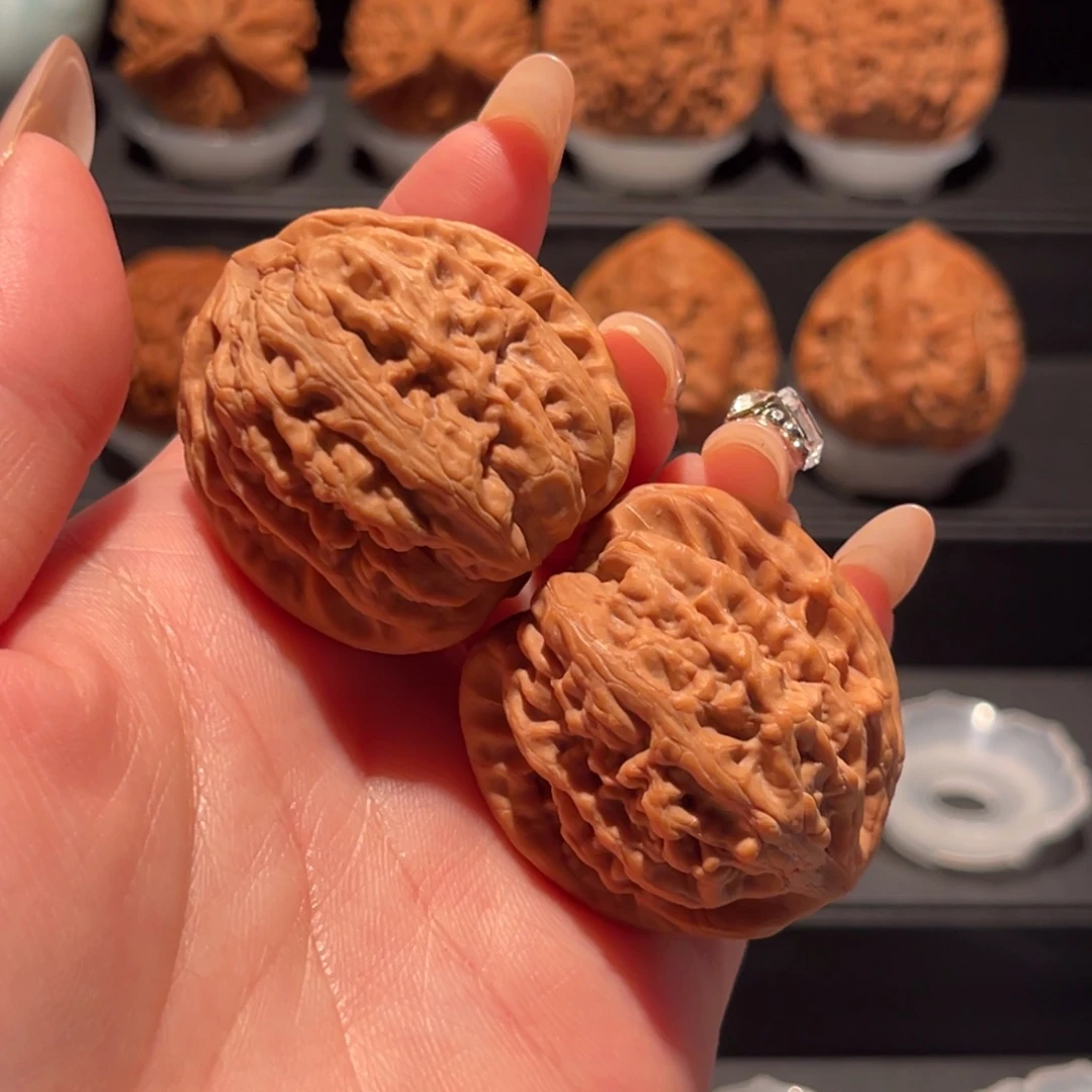 红锦鲤36.8，全品毕业