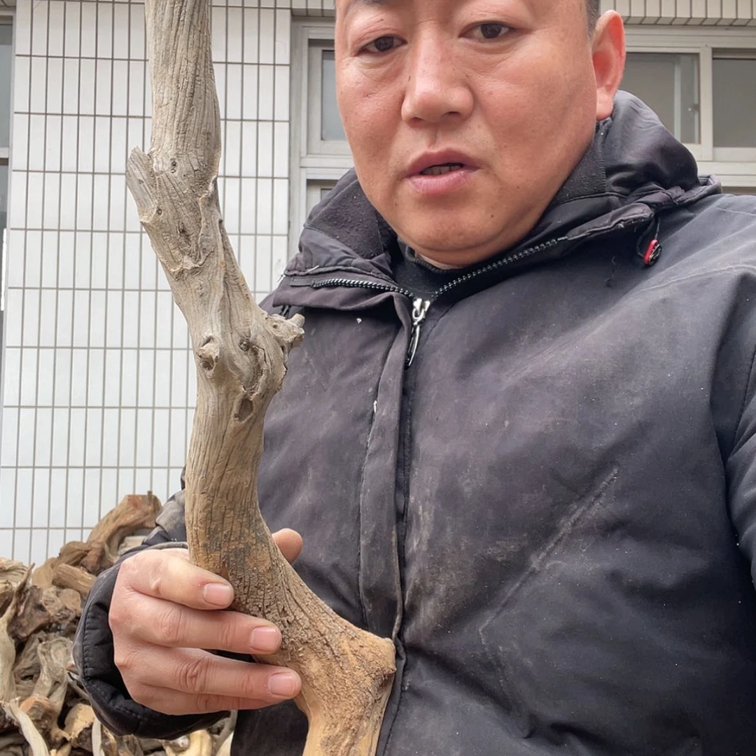 【闪购商品】柏木清*啊啊啊啊啊啊啊啊