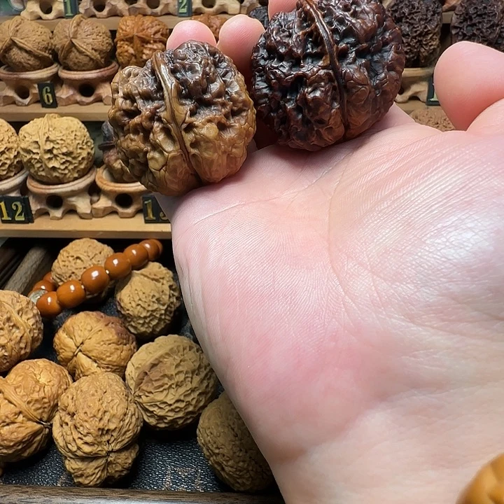 蟾王十八包43尺落地彩