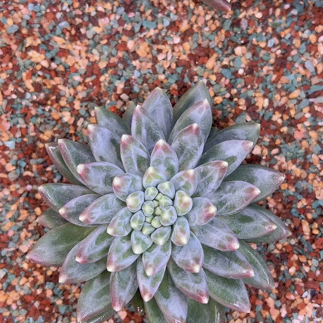 没***好11111111111111111111