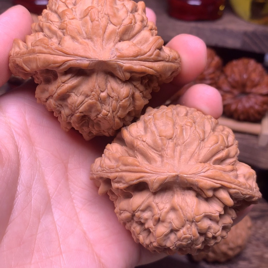 文玩核桃把件58龙鼎全品