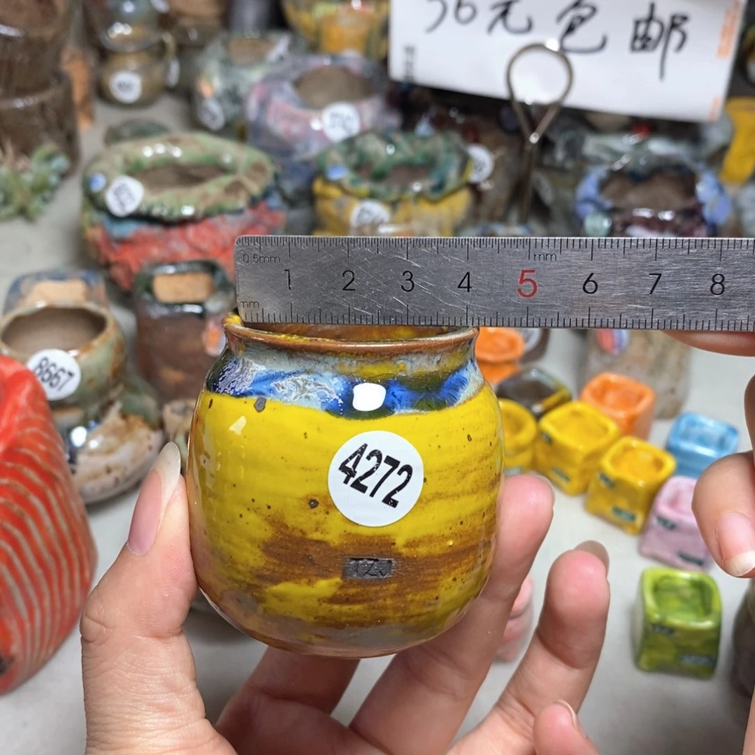 拍5送一个小礼物