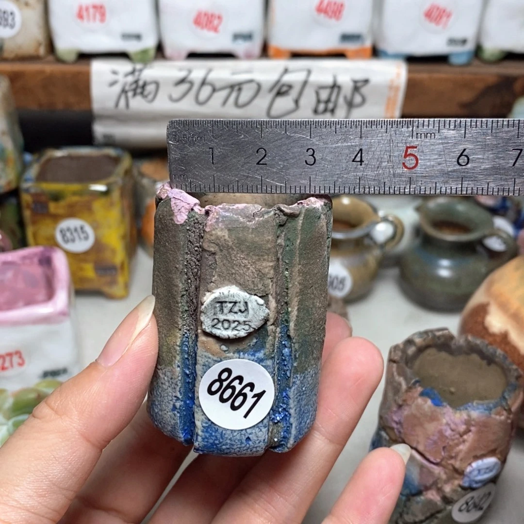 拍3送一个小礼物