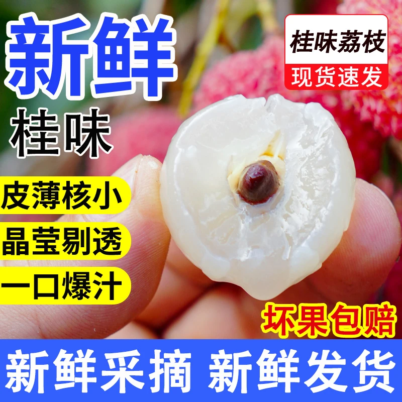 P-广东茂名桂味荔枝 纯甜爆汁 现摘新鲜水果