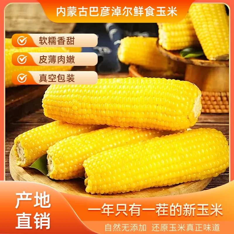内蒙古巴彦淖尔沙漠现摘鲜食甜糯玉米真空包装2箱20支（试吃2支）