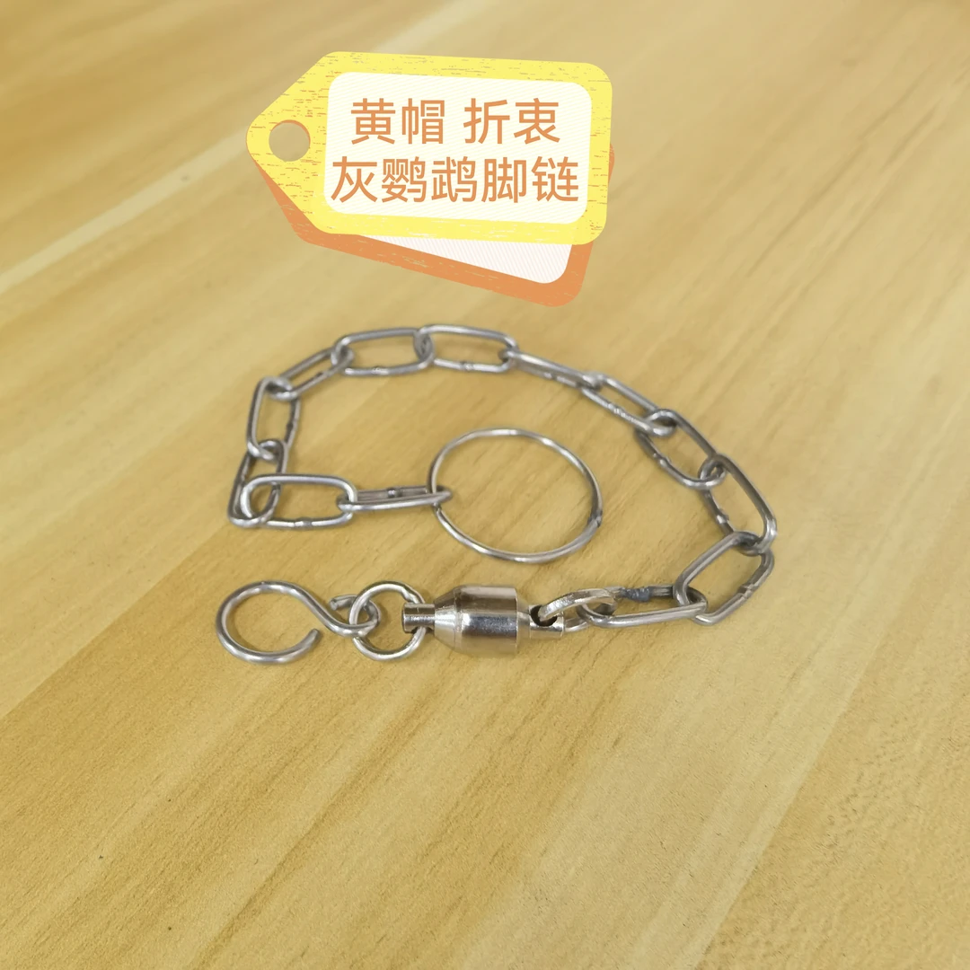 黄帽 折衷 灰鹦鹉 不锈钢304 脚链 接口焊接