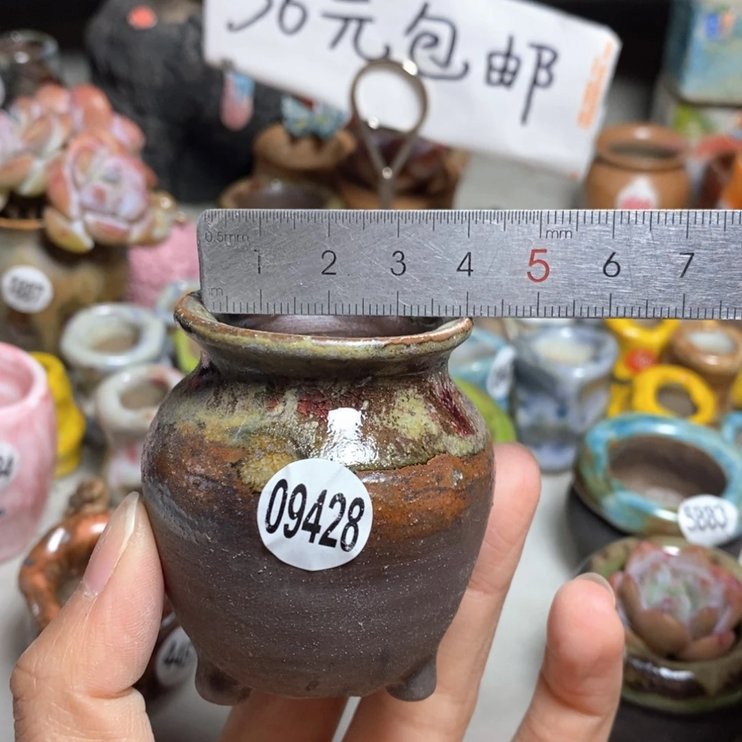 拍5送一个小礼物