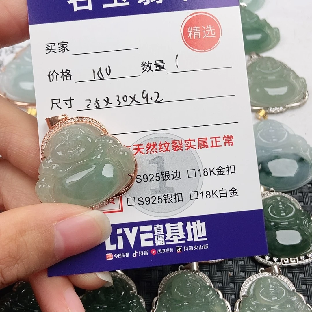 翡翠银S925镶嵌颈饰