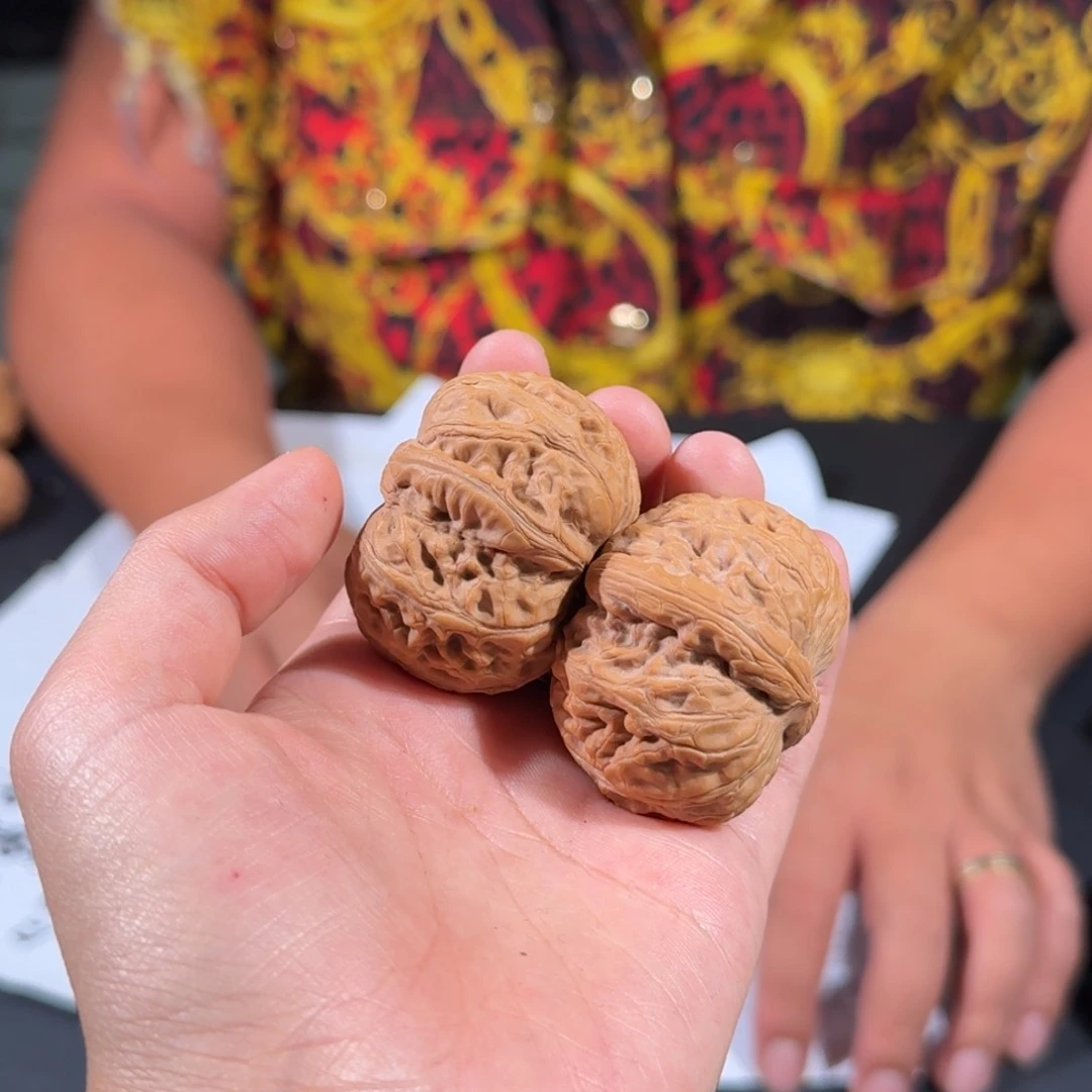 文玩核桃把件229号40mm平谷元宝