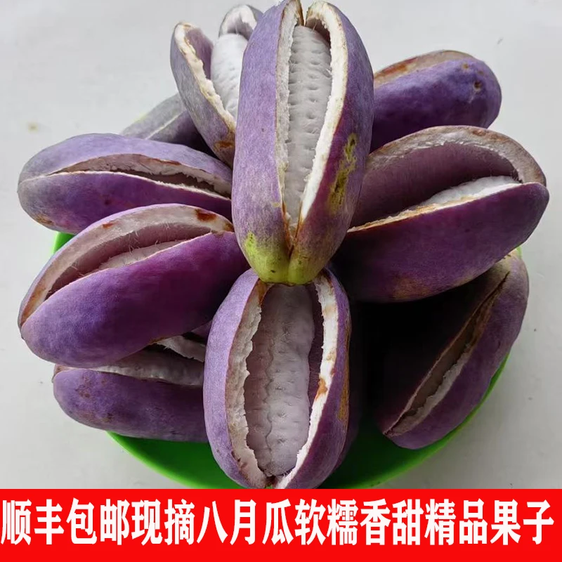 正宗高山稀有八月瓜软糯香甜八月炸甜果新鲜现摘当季水果顺丰包邮