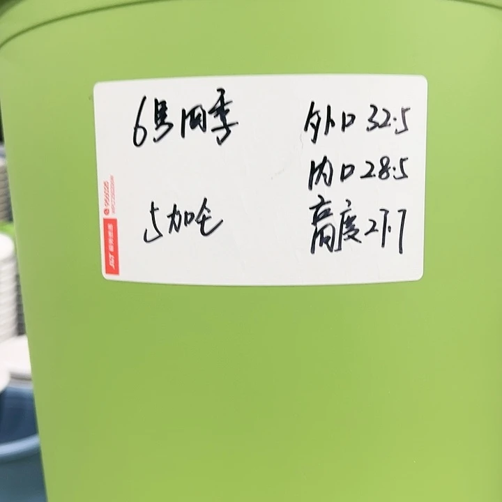 特价6号四季口32高28果绿色4个无托