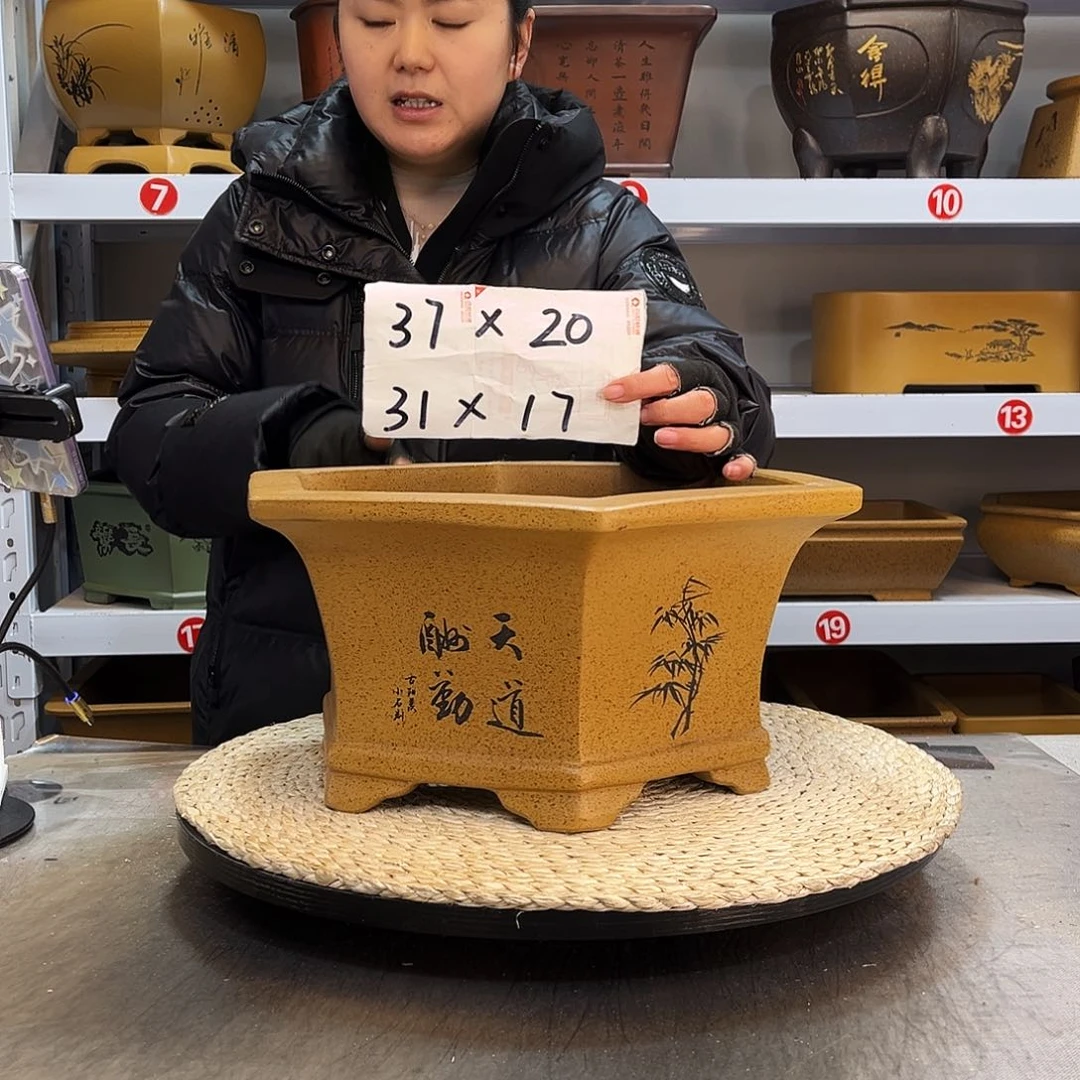 紫砂花盆紫砂花盆