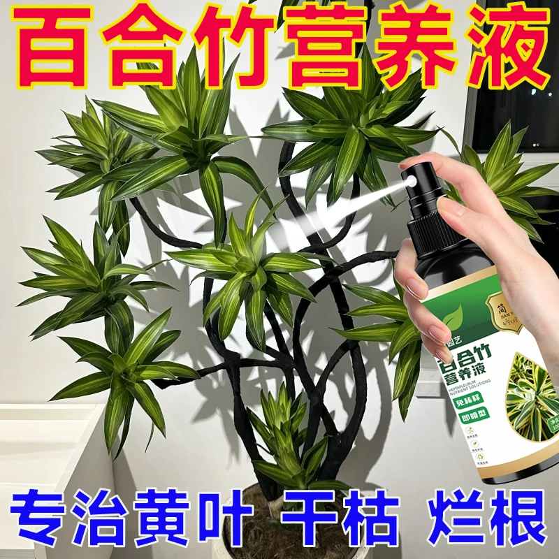 百合竹专用营养液防黄叶干尖掉叶园艺花肥免稀释室内直接喷营养液