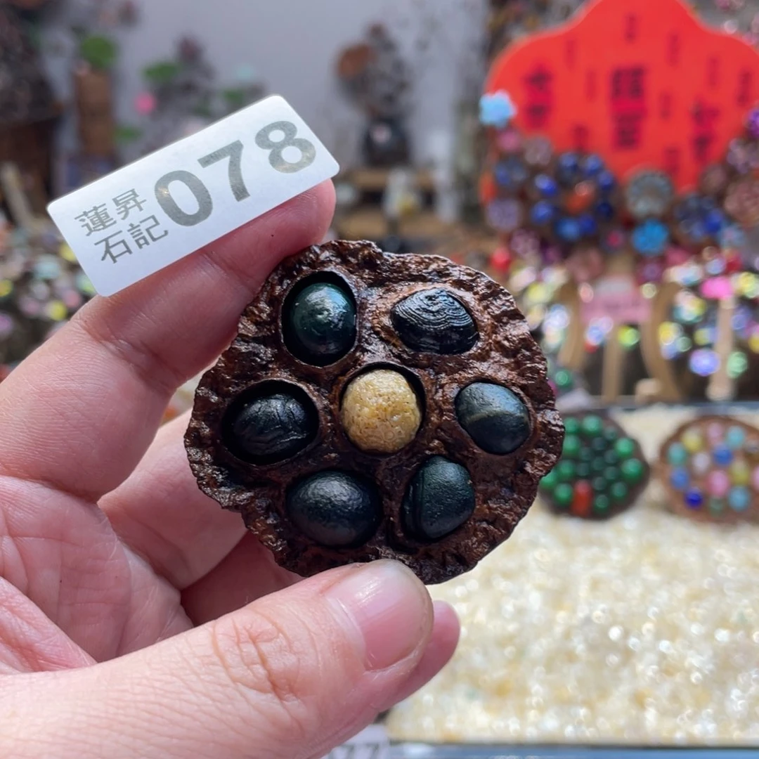 核桃木/黑胡桃（胡桃木）078