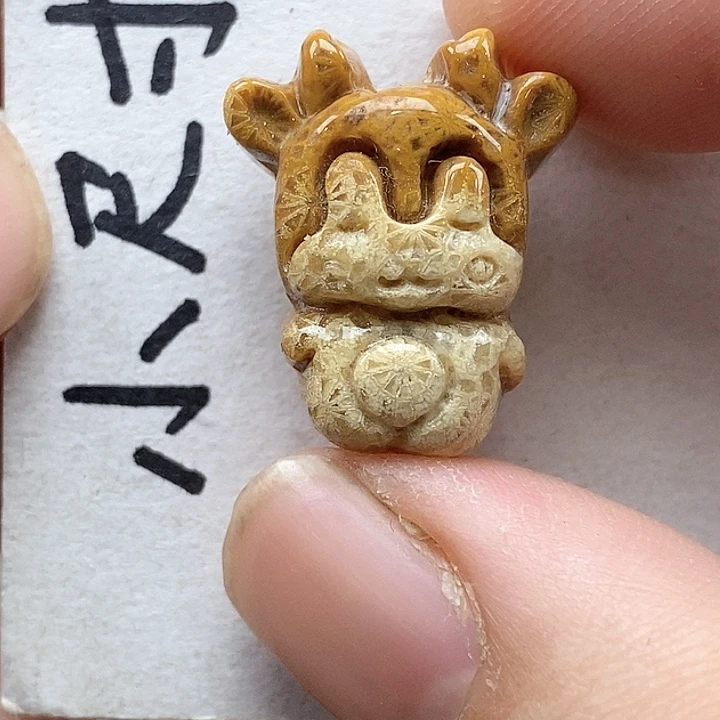 颈饰未镶嵌硅化珊瑚（珊瑚玉）