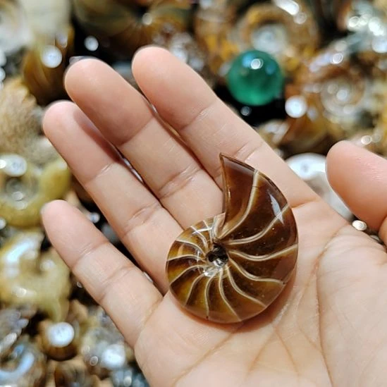 有机玻璃14367788889889