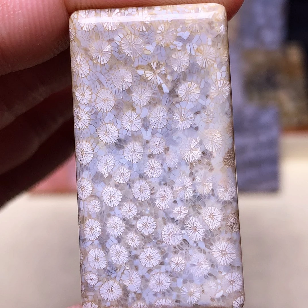 硅化玉珠宝奇石合金鹏**里