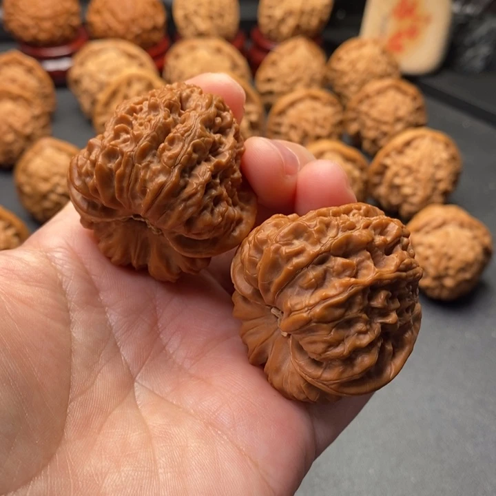 文玩核桃把件41尺金蟾凹底