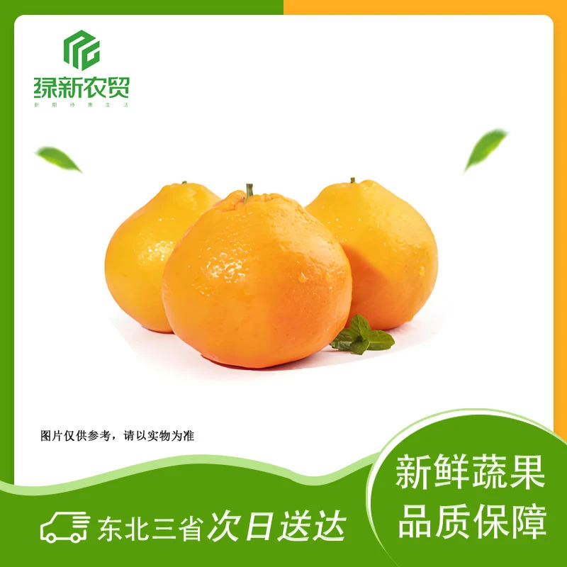 四川春见耙耙柑 约1000g±50g每份