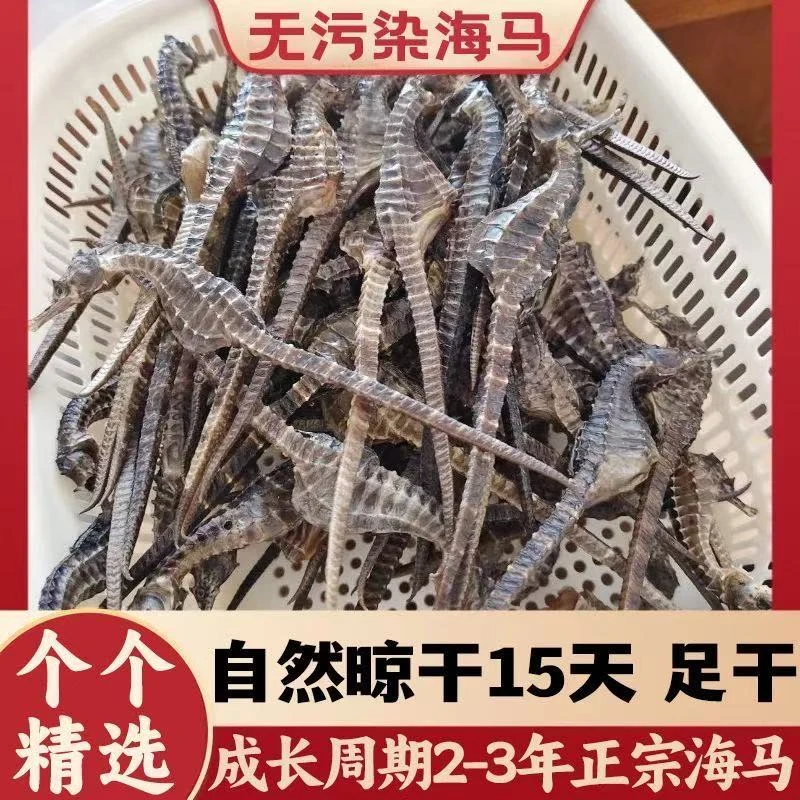 【正品保真】海干货马馬泡酒煲汤料茶 公母搭配 源头直发带溯源码