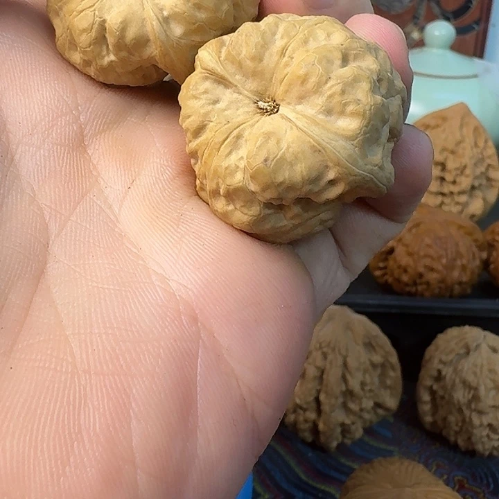 古产核桃80000000