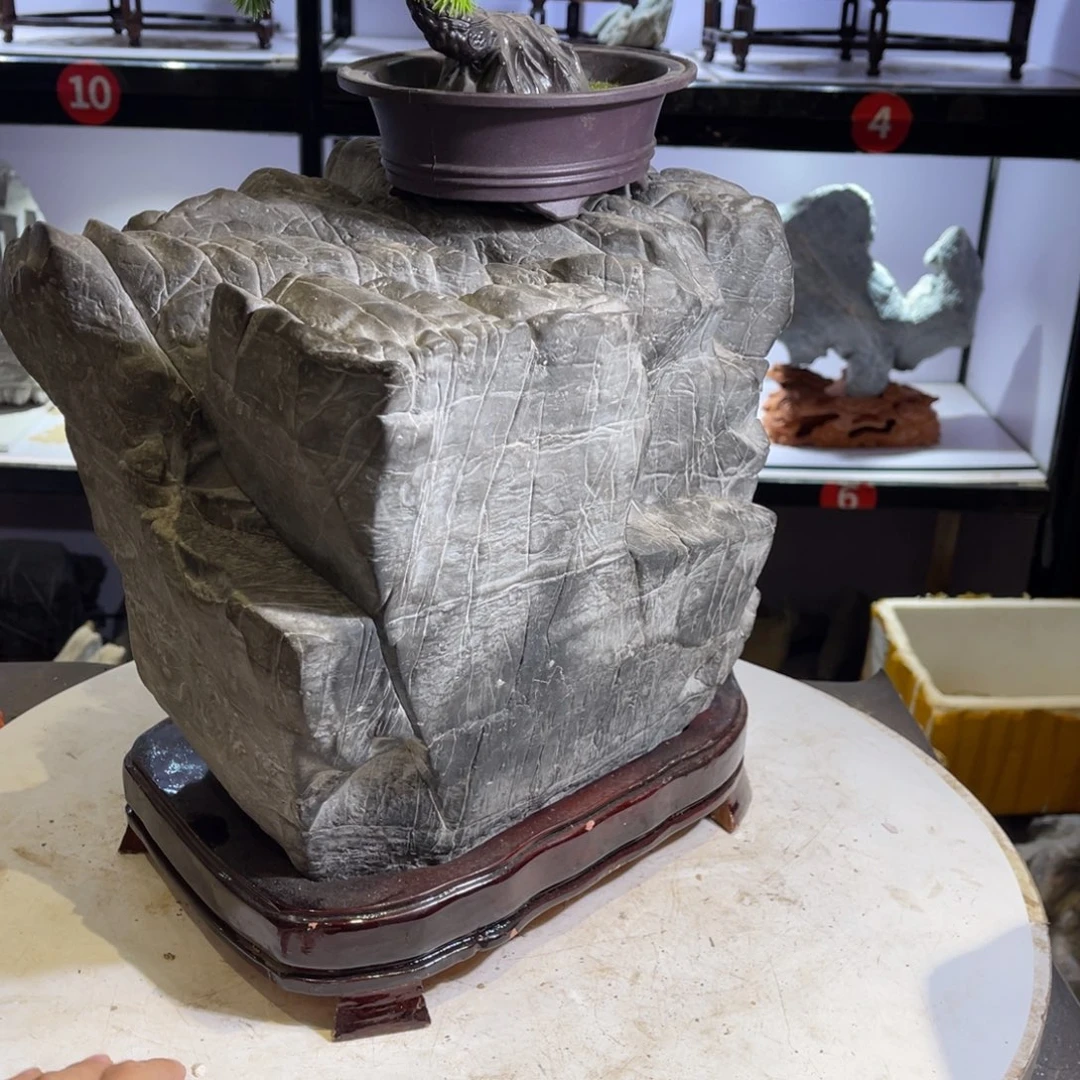 上***分石材全场观众起立为自己