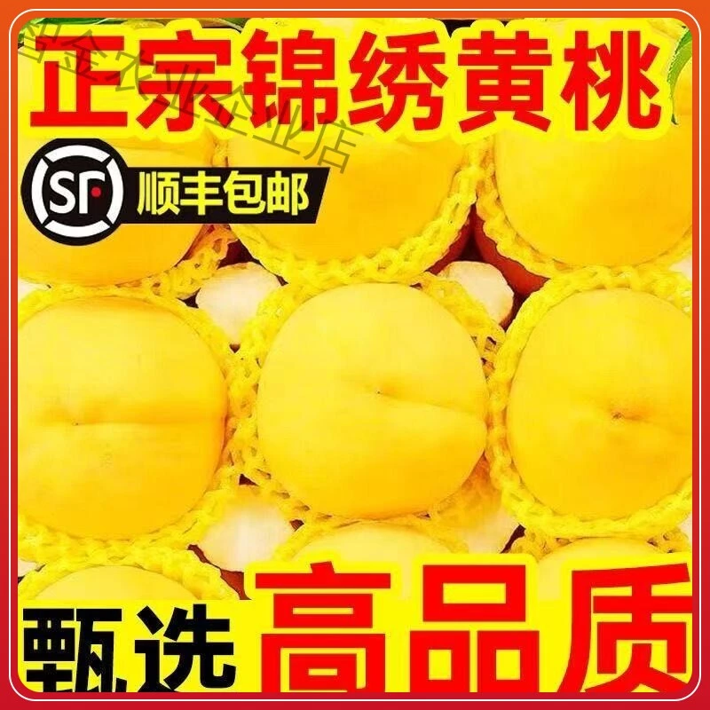 【顺丰包邮】 正宗锦绣黄桃新鲜水果黄肉脆甜多汁锦绣现摘现发