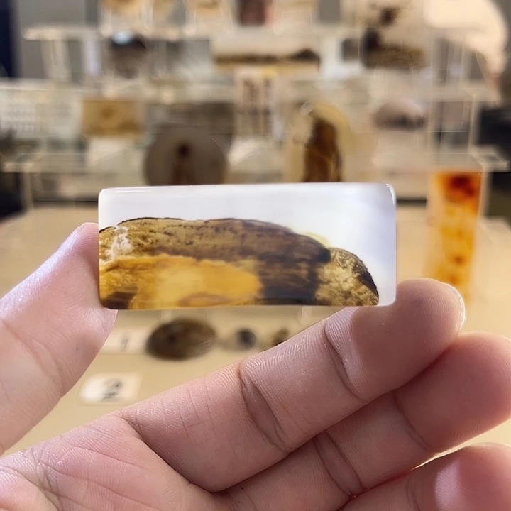 未镶嵌吊坠(不含链)玛瑙/玉髓