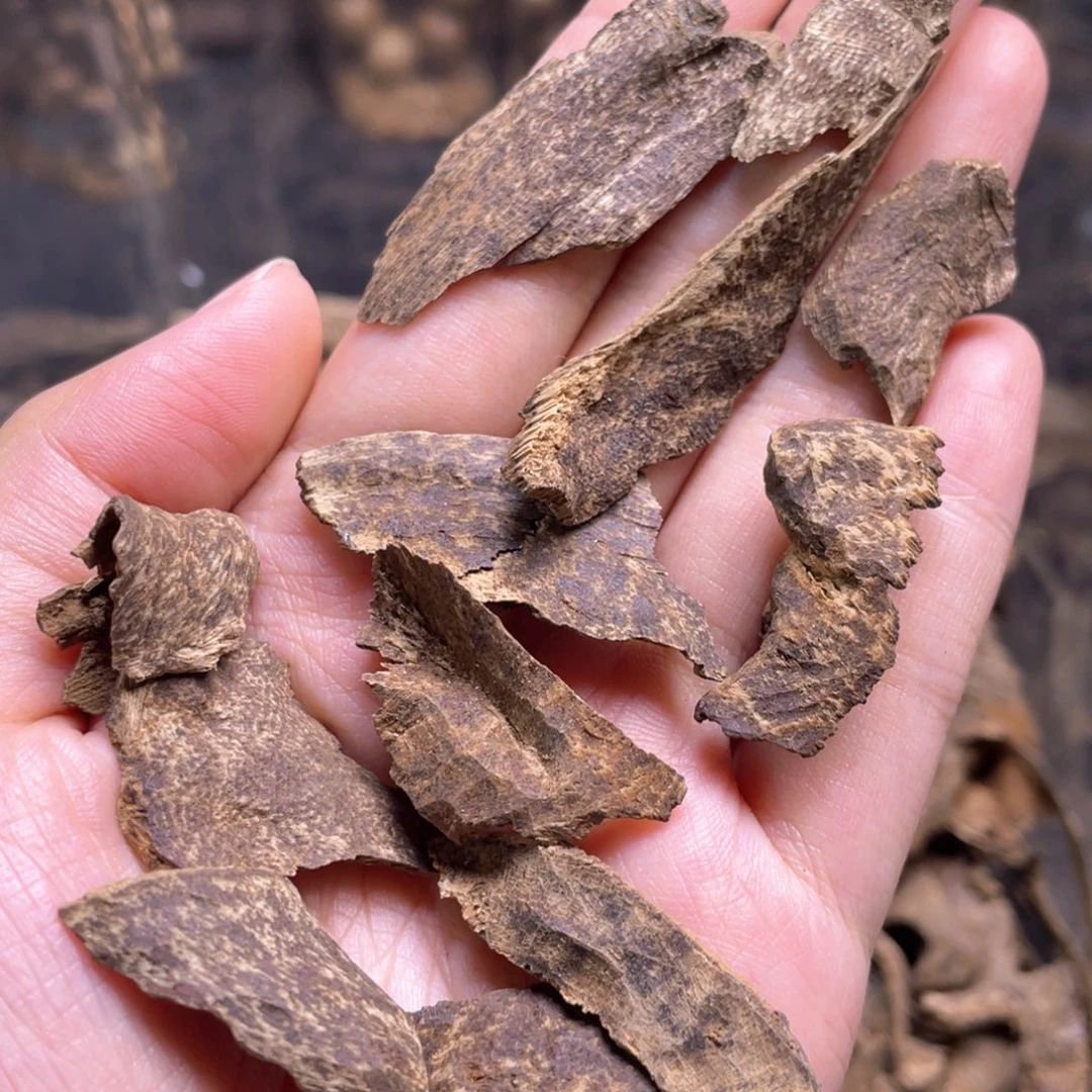 香榧木5克海南霸王岭沉水老包头碎料