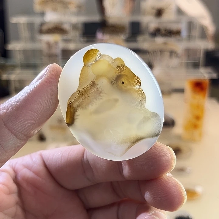 未镶嵌吊坠(不含链)玛瑙/玉髓