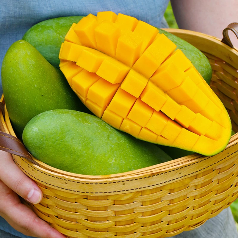 【情之甄】云南大青芒软糯香甜催熟放软吃净重3斤单果300g+