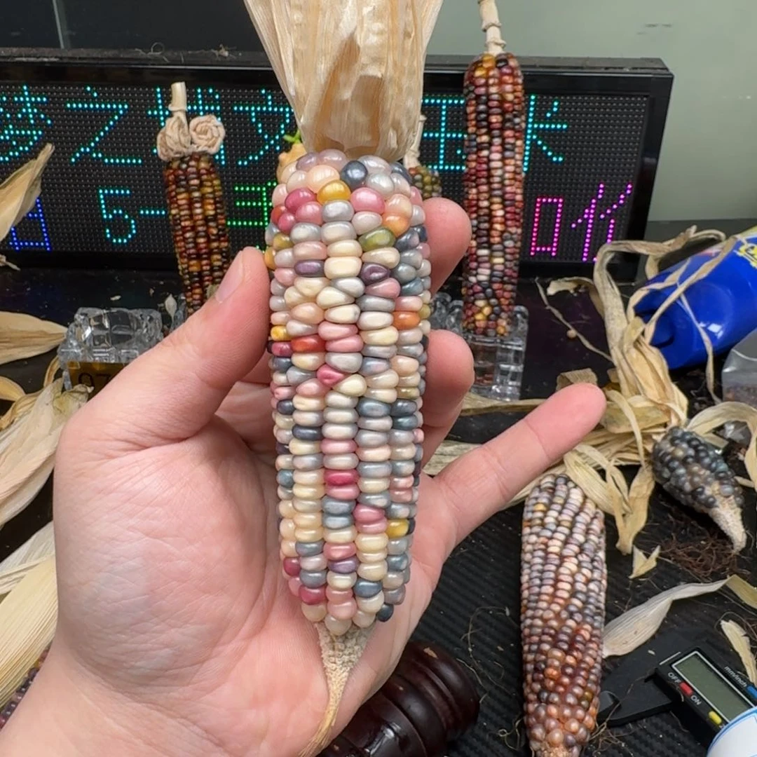 柏香籽/百香籽吊坠東*～