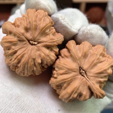 文玩核桃吊坠38全品白茬山地红皮原桩41克原桩异形白狮子