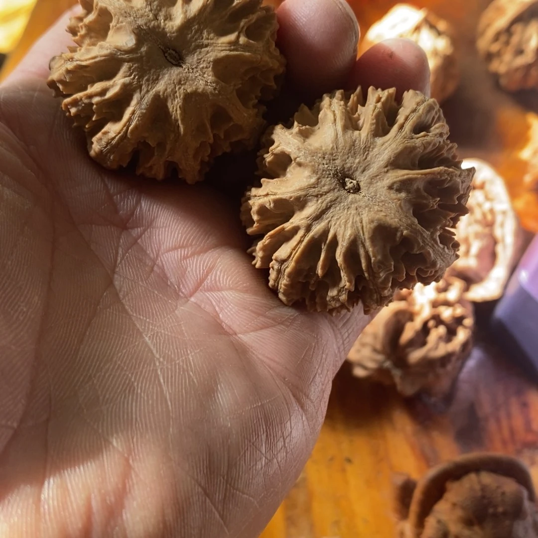 秦岭南侧和东北北部分别