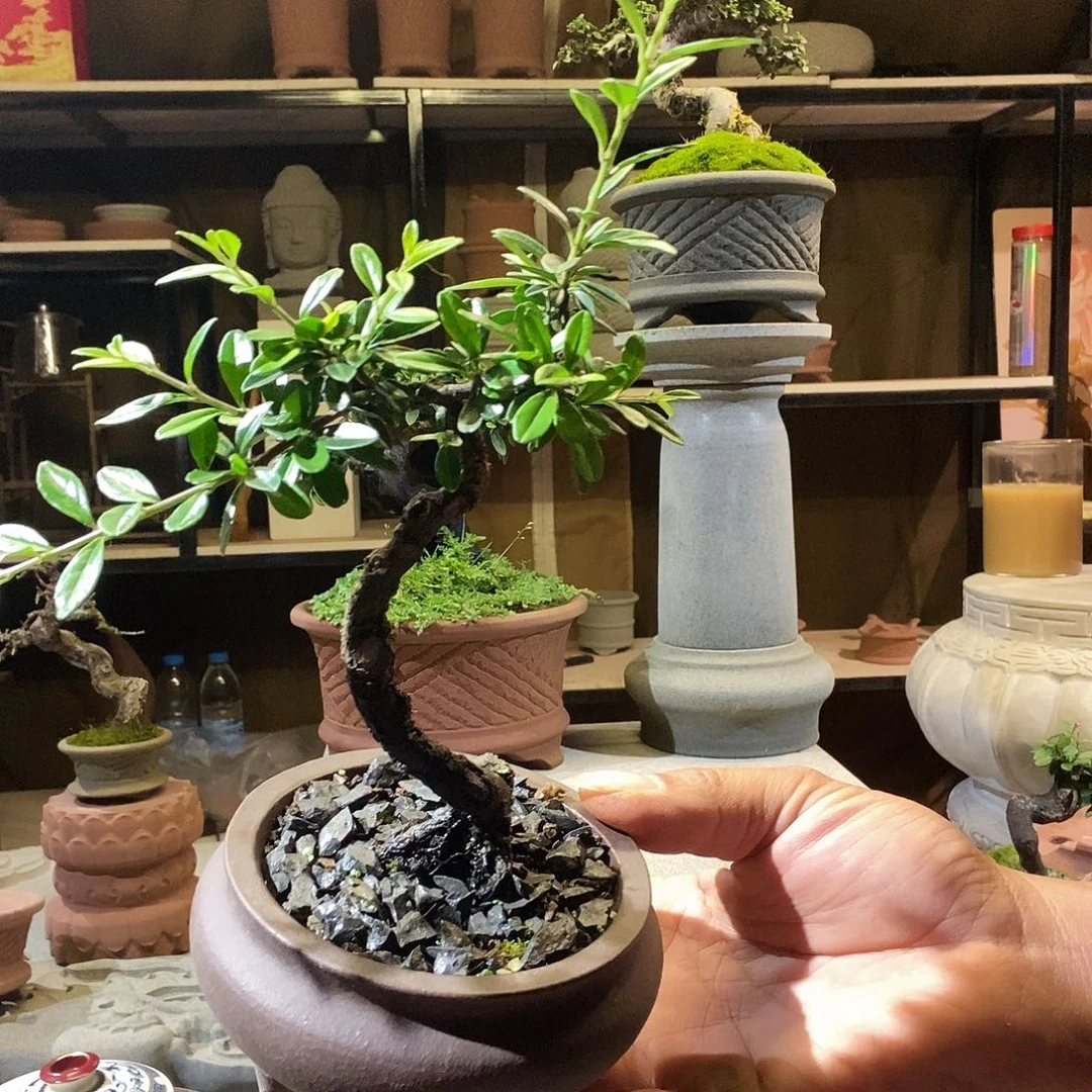 品格石器石头花盆